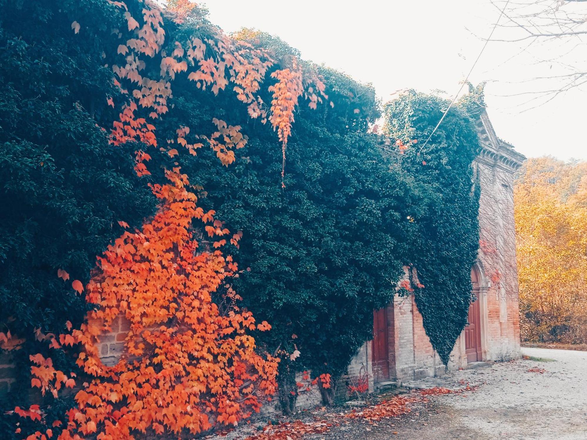 Castello Di Baccaresca Villa Branca Buitenkant foto
